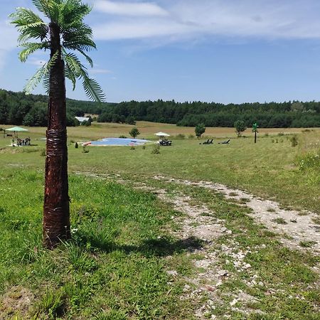 Stadnina Koni Tarka Zwierzyniec Kültér fotó