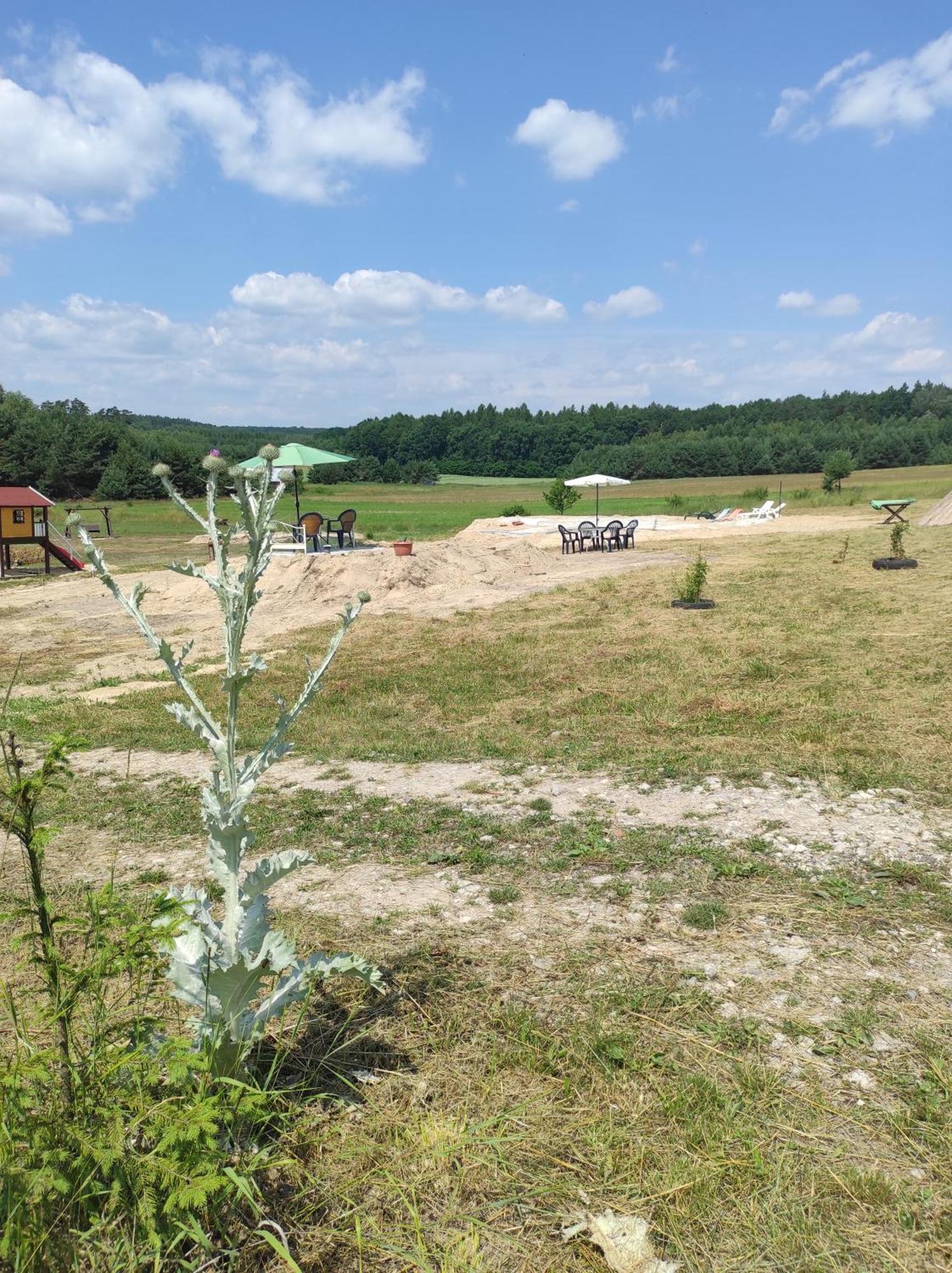 Stadnina Koni Tarka Zwierzyniec Kültér fotó