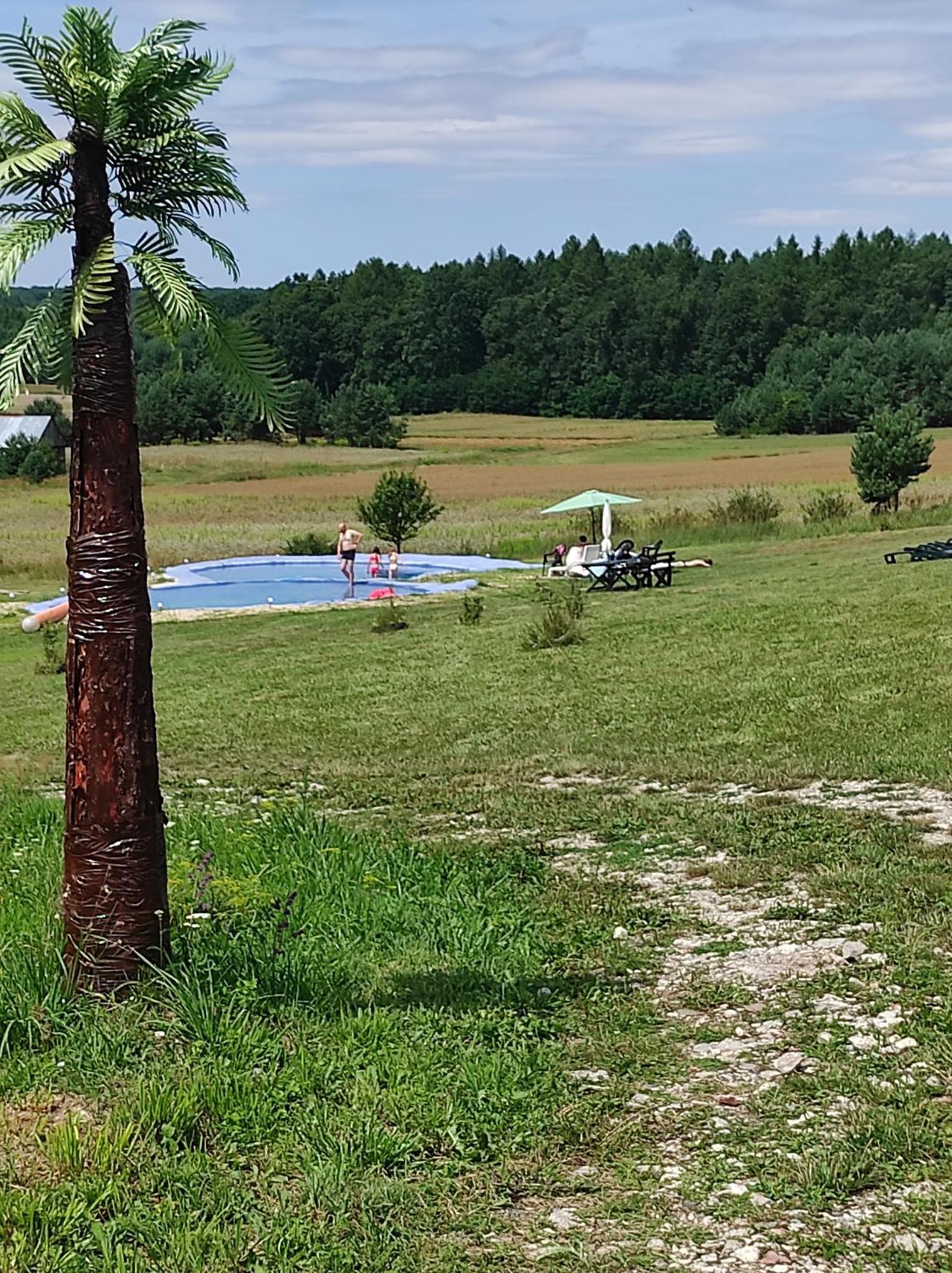 Stadnina Koni Tarka Zwierzyniec Kültér fotó