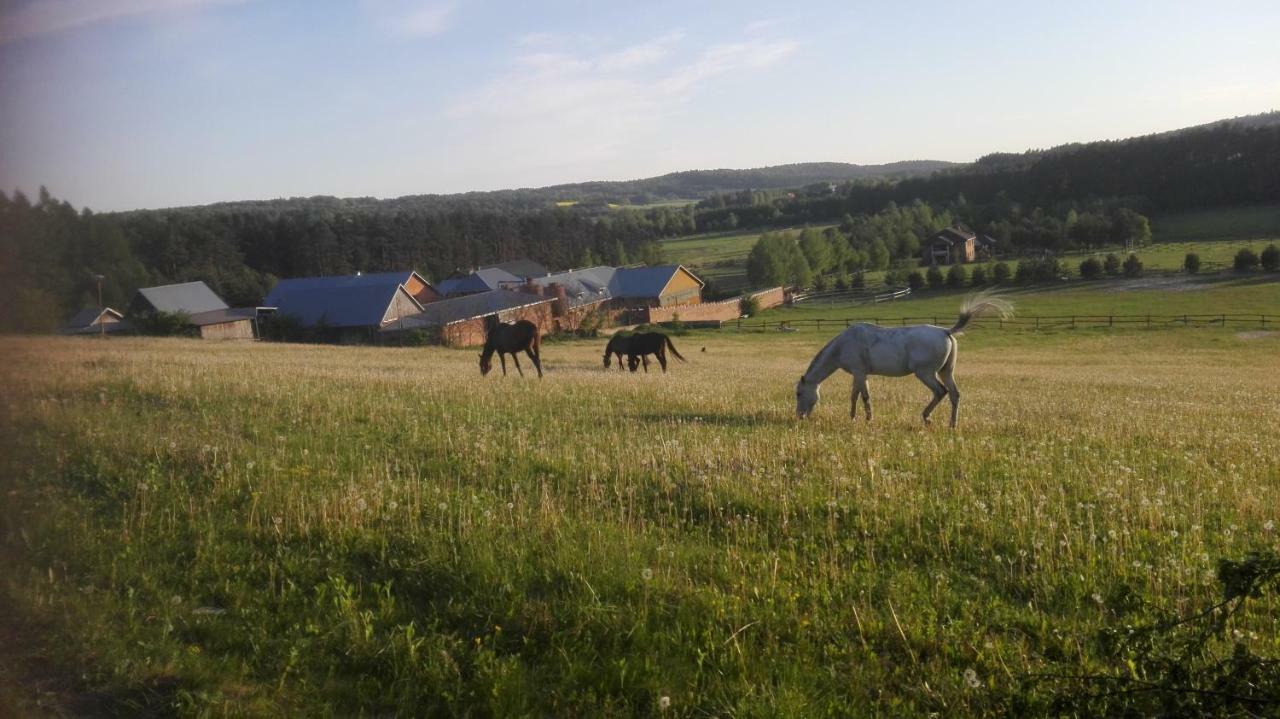 Stadnina Koni Tarka Zwierzyniec Kültér fotó